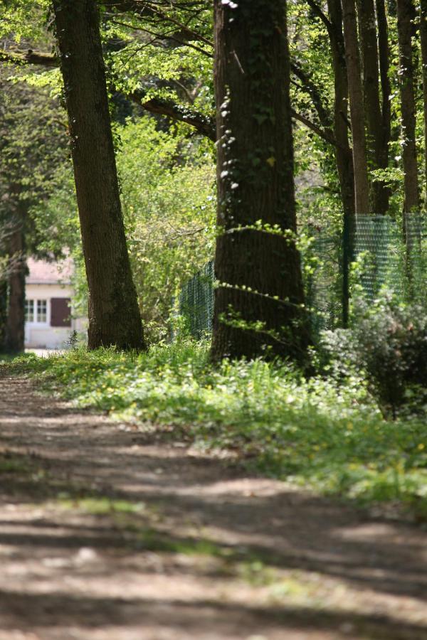 Fleurs De Brenne Gite Neuille-le-Lierre Bagian luar foto