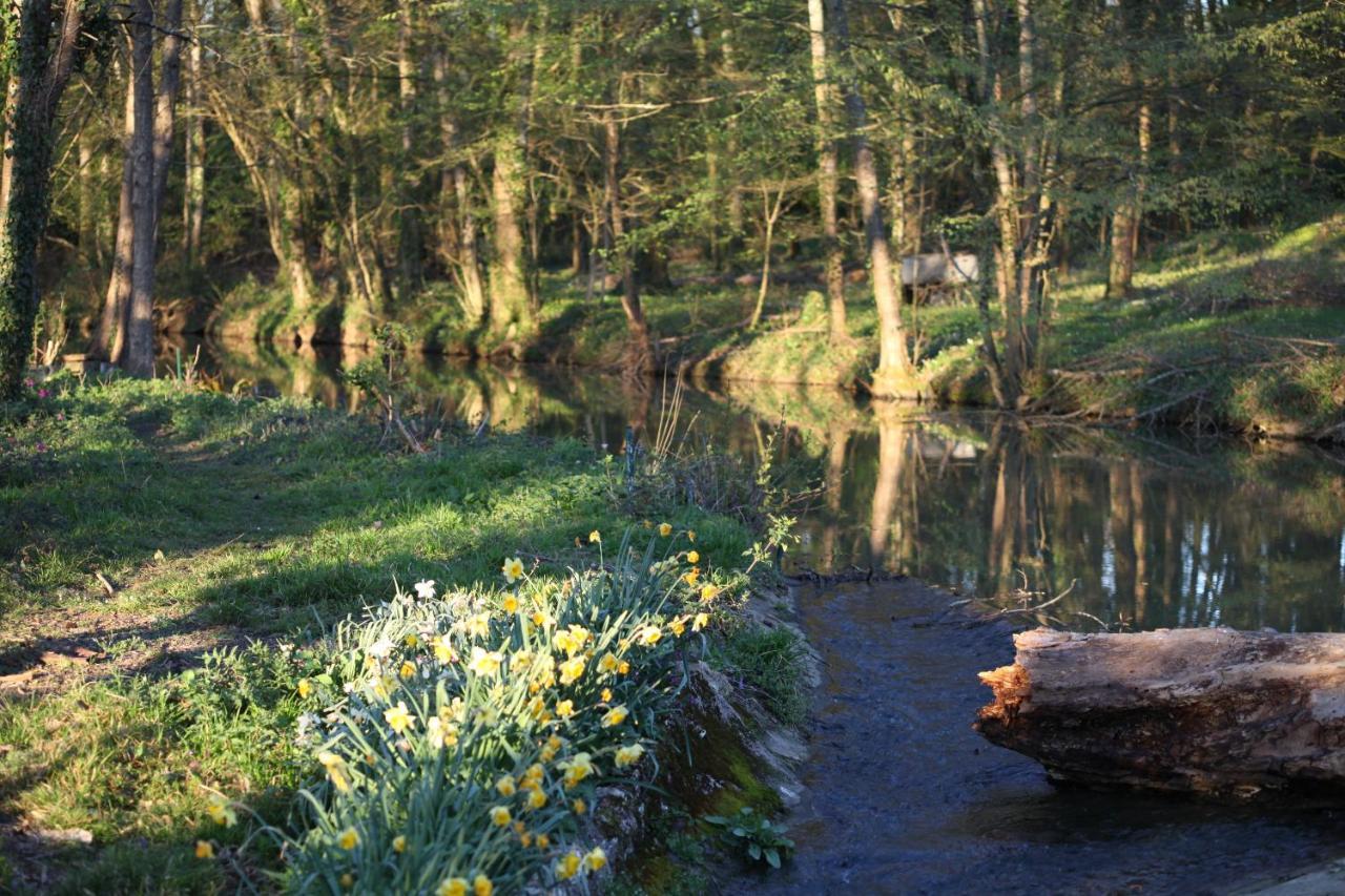 Fleurs De Brenne Gite Neuille-le-Lierre Bagian luar foto