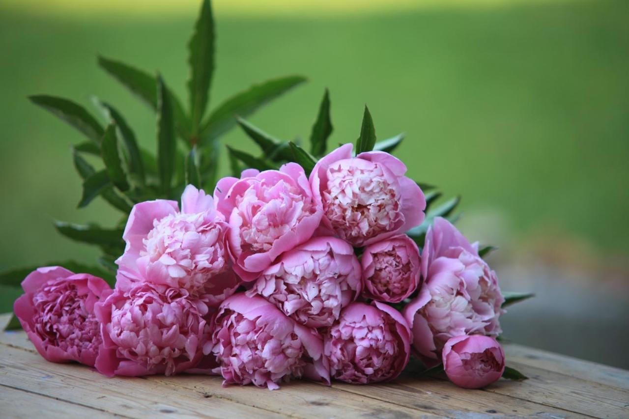 Fleurs De Brenne Gite Neuille-le-Lierre Bagian luar foto